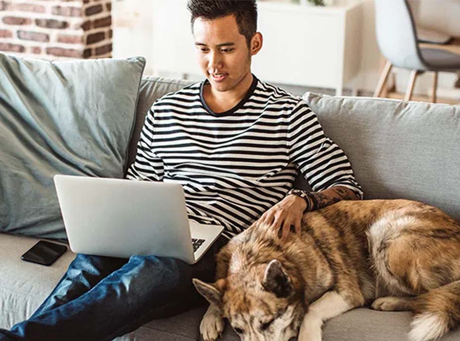 Young man using his computer at home with his dog nearby